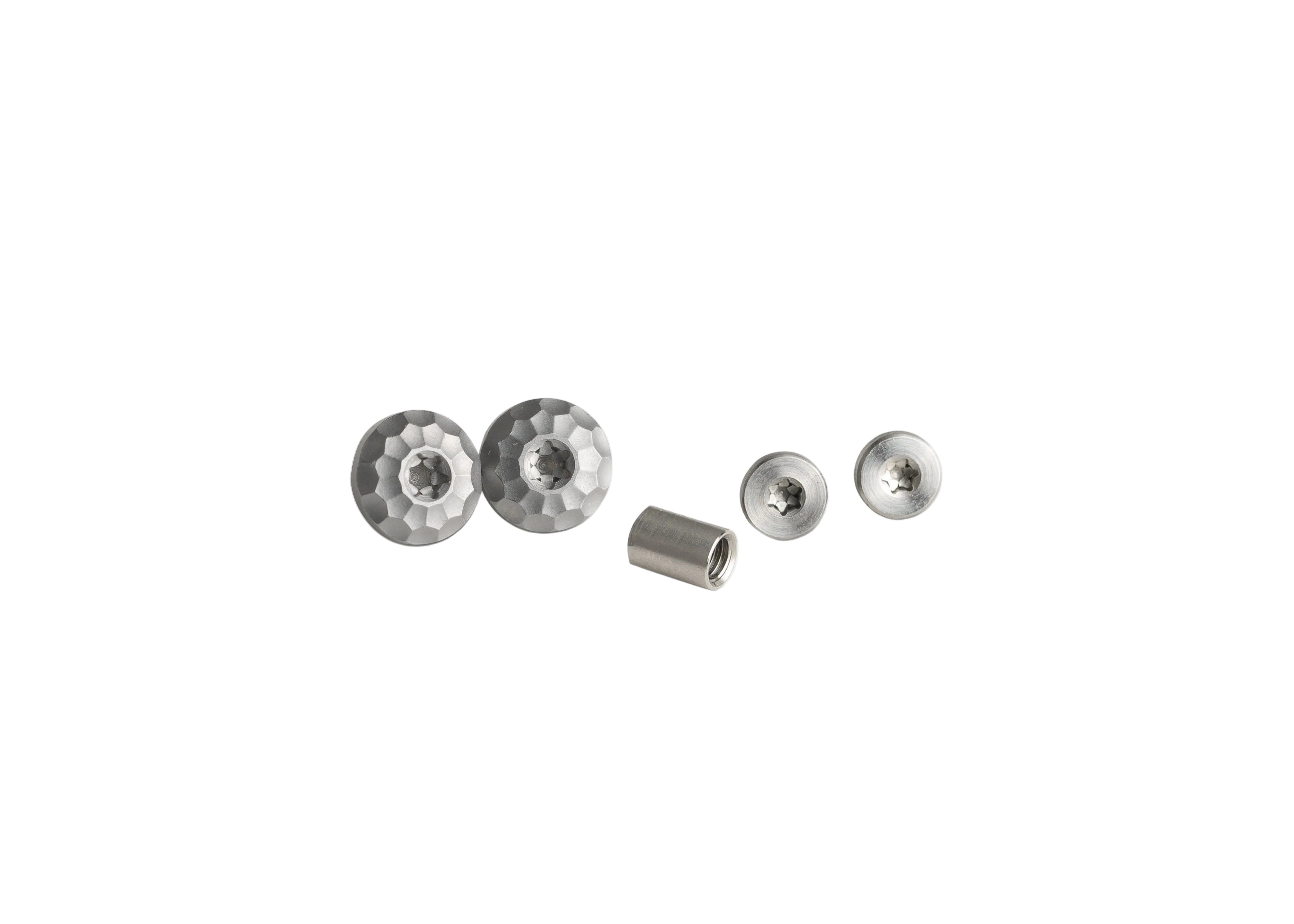 SAS 2 Torx Grip + Trigger Guard - Screw Kit