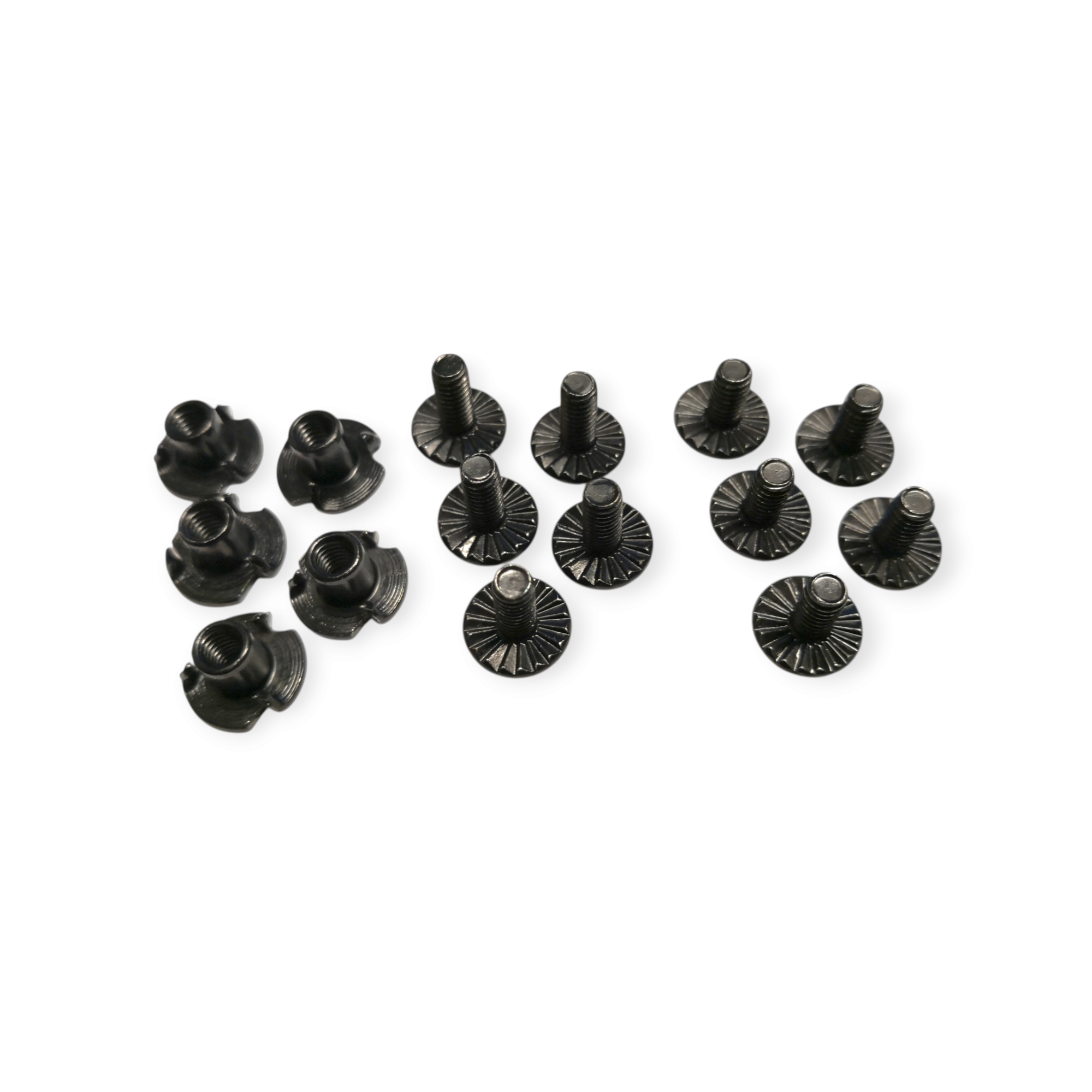 QLS Holster Attachment Screw Set