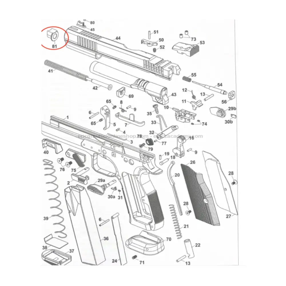 CZ TS2 Orange Bushing .40 - CZ