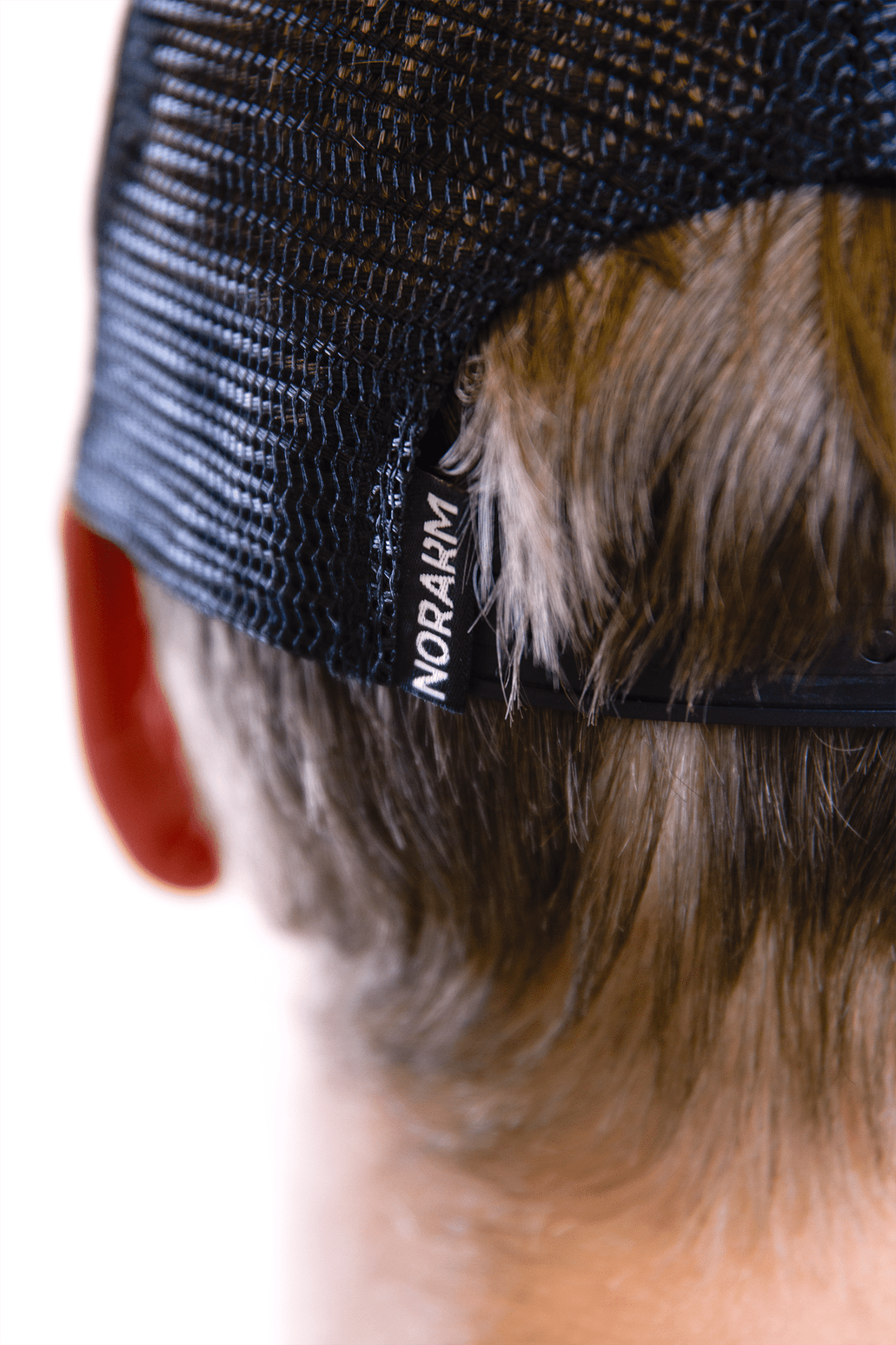 Trucker Cap, Norwegian Woodland - NorArm